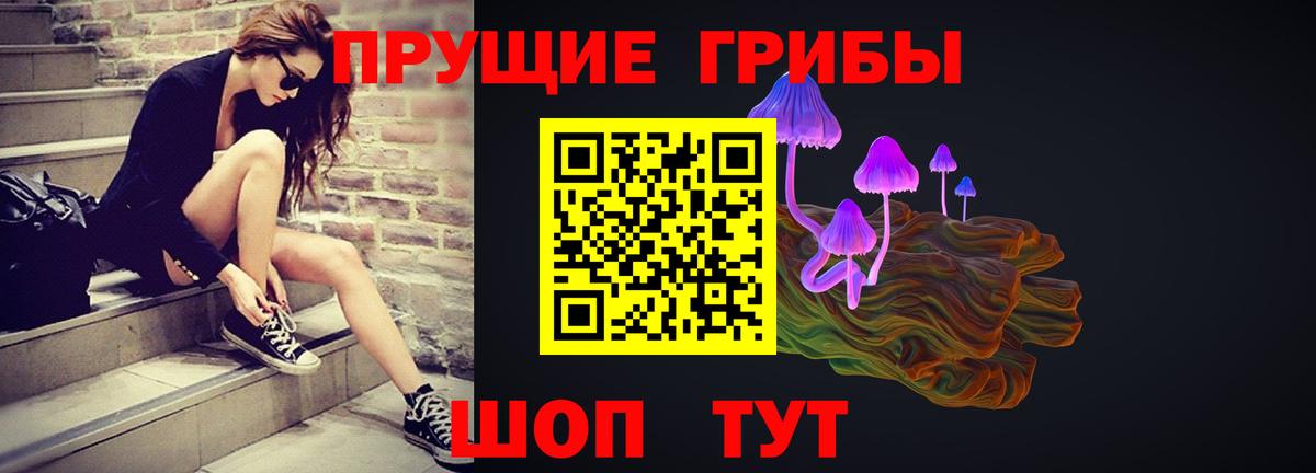 Петропавловск-Камчатский  Псилоцибиновые грибы Cubensis  Вход с VPN 